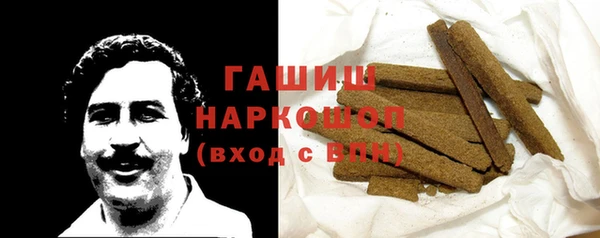 гашик Мегион