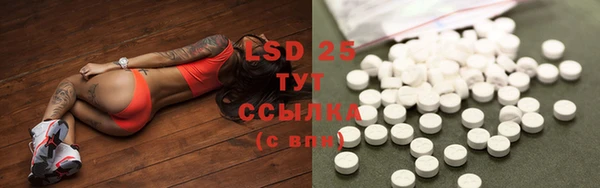 spice Магас