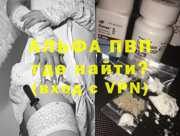 spice Магас