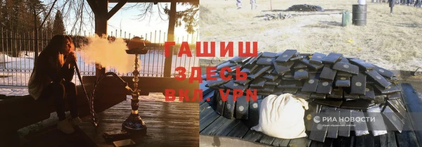 гашик Мегион