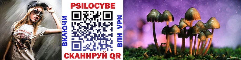 что такое   Трубчевск  Псилоцибиновые грибы MAGIC MUSHROOMS 